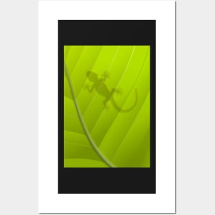 Backlit Gecko Posters and Art